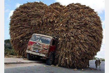 Thatched truck